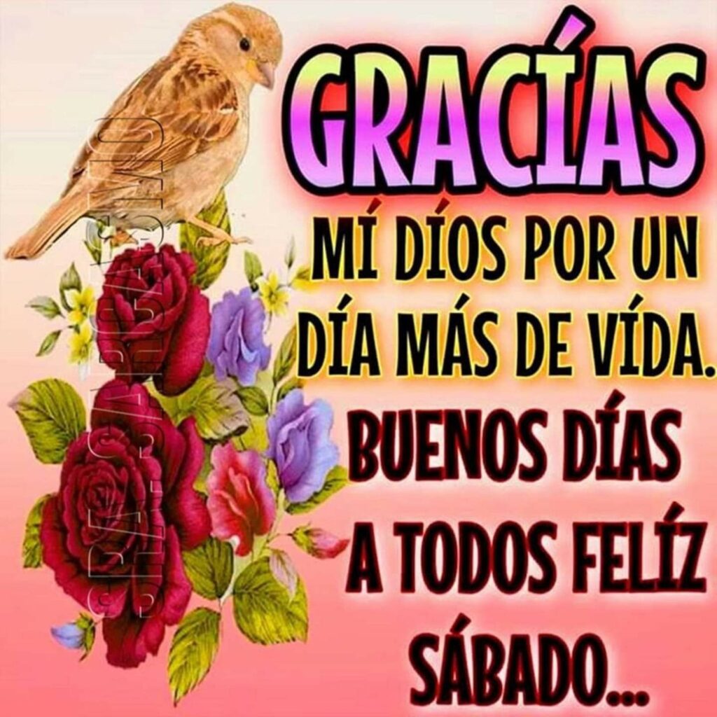 Gracias mi Dios por un día más de vida. Buenos Días a todos feliz sábado