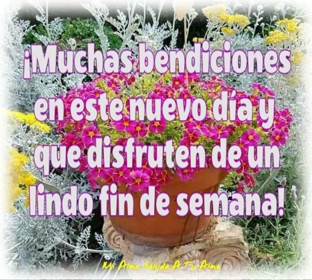 ¡Muchas bendiciones en este nuevo día y que disfruten de un lindo fin de semana!