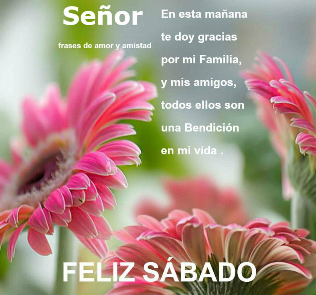 Señor, es esta mañana te doy gracias por mi familia, y mis amigos, todos ellos son una bendición en mi vida. FELIZ SÁBADO