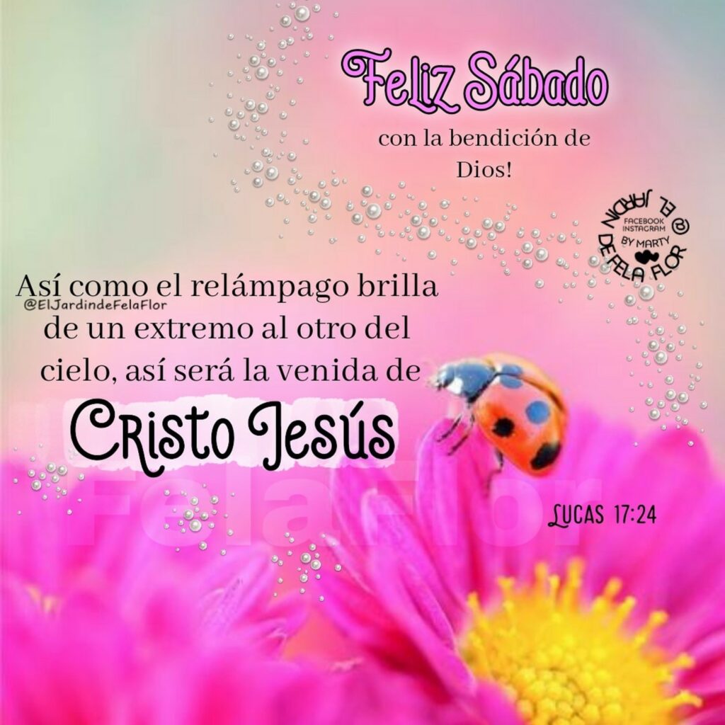 Feliz sábado. Así como el relámpago brilla de un extremo al otro del ciclo, así será la venida de Cristo Jesús (Lucas 17:24)