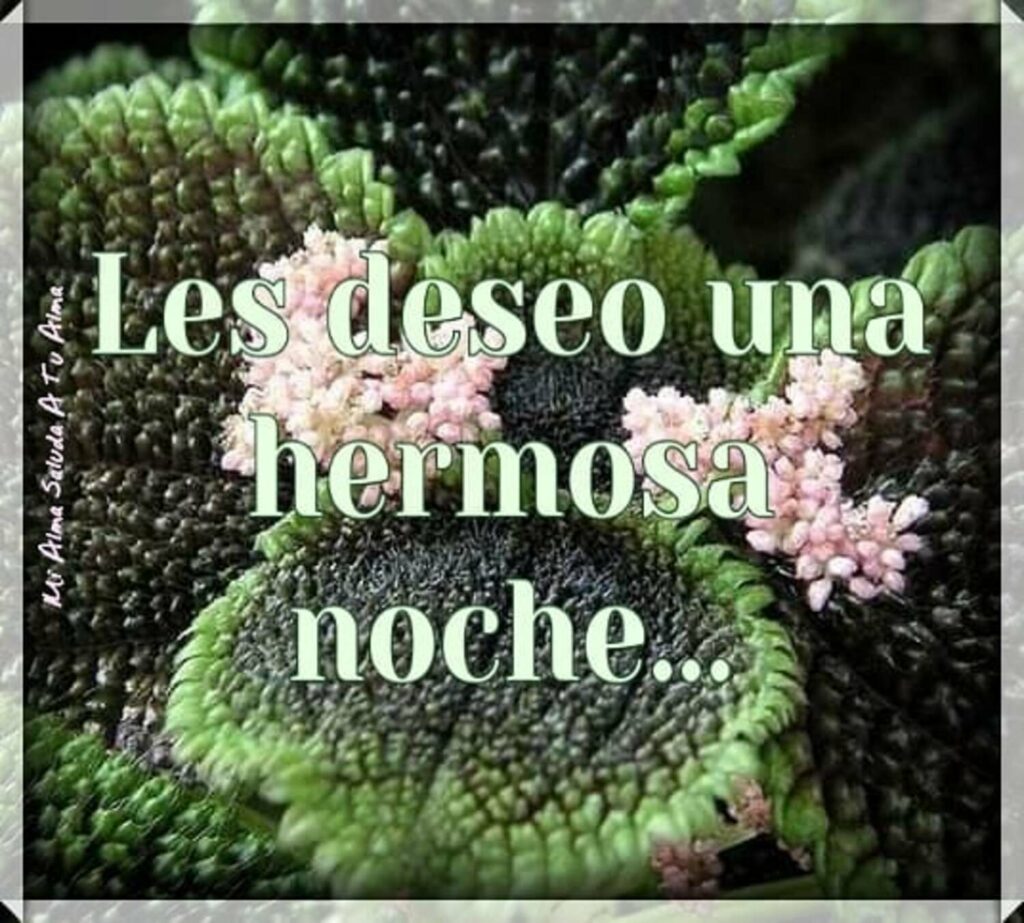 Les deseo una hermosa noche...