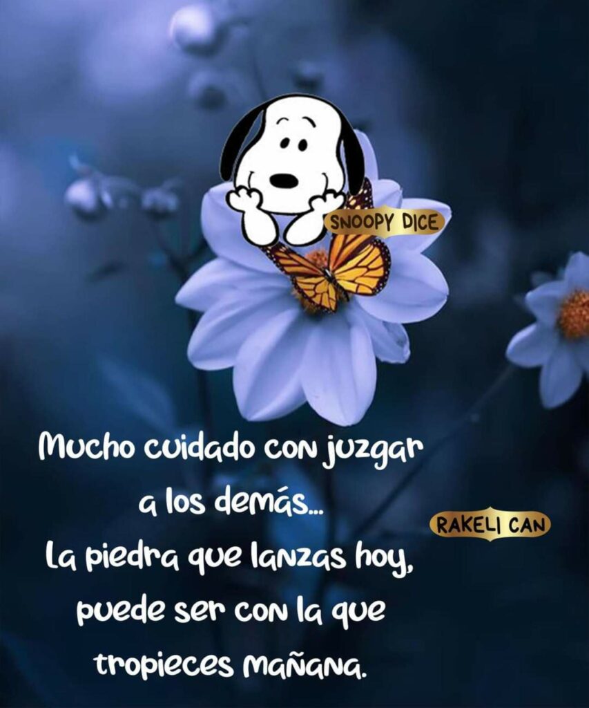 Mucho cuidado con juzgar a los demás... La piedra que lanzas hoy, puede ser con la que tropieces mañana. (Snoopy Dice)