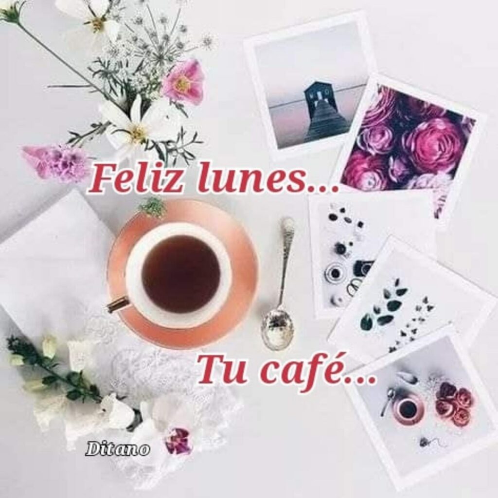 Feliz lunes... Tu café... (Ditano)