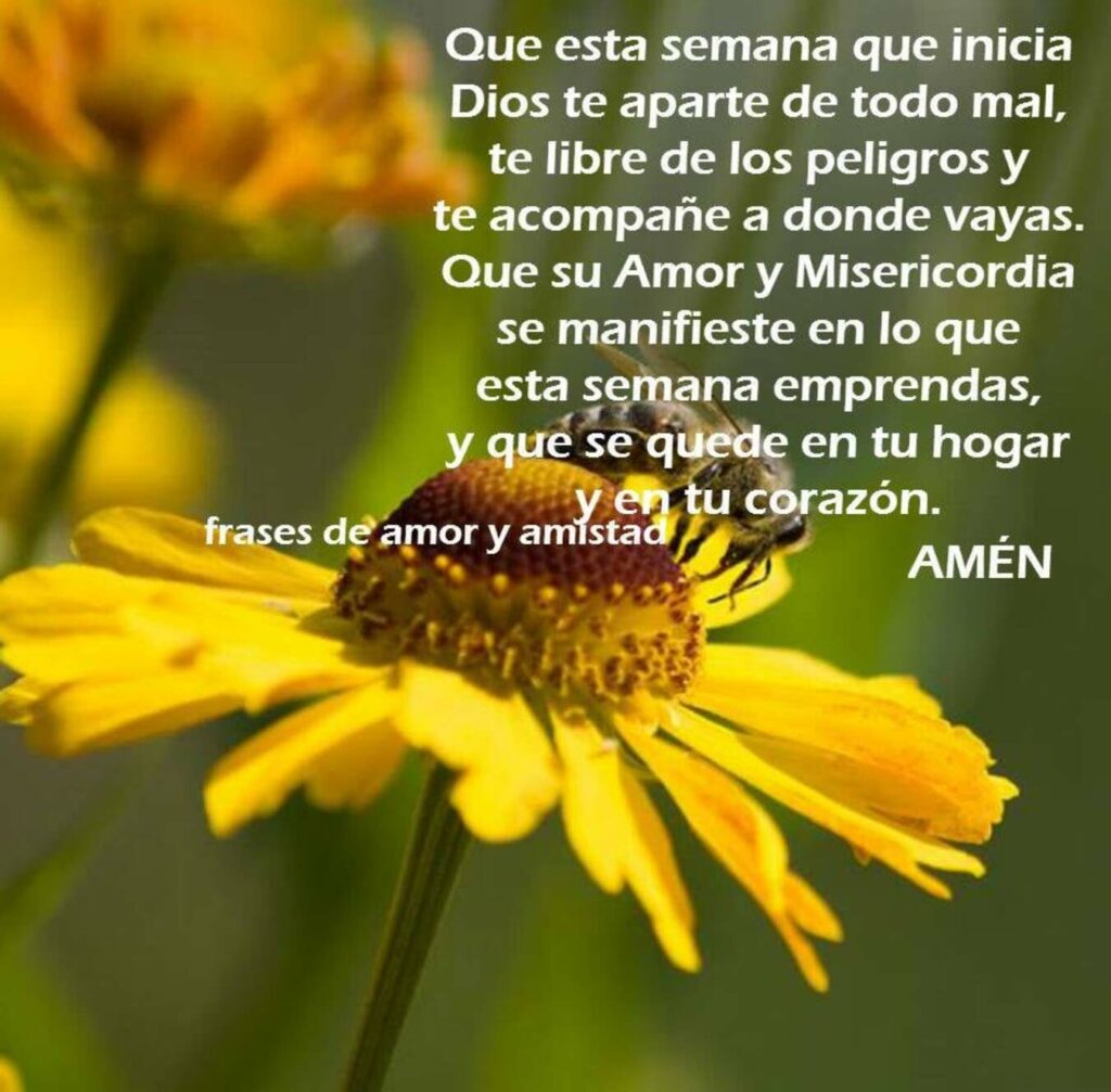 Que esta semana que inicia Dios te aparte de todo mal, te libre de los peligros y te acompañe a donde vayas, Que su amor y misericordia se manifieste en lo que esta semana emprendas, y que se quede en tu hogar y en tu corazón. AMÉN