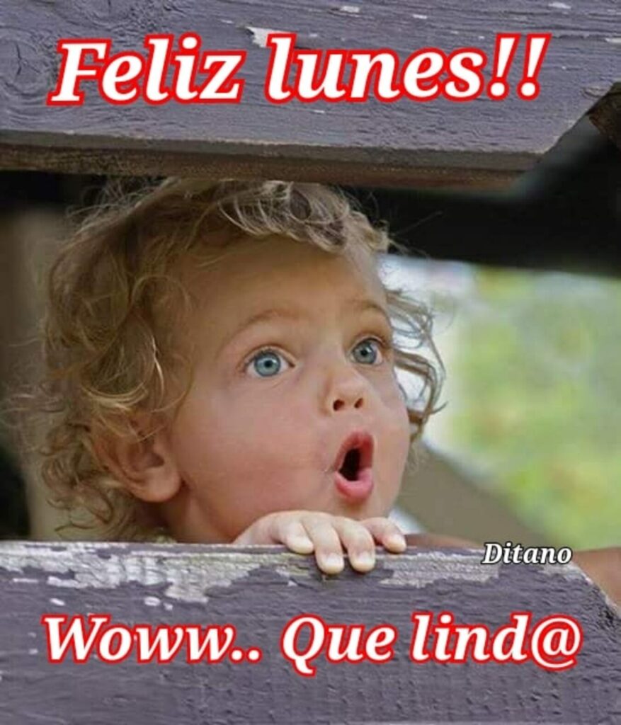 Feliz lunes!! Woww... Que lind@