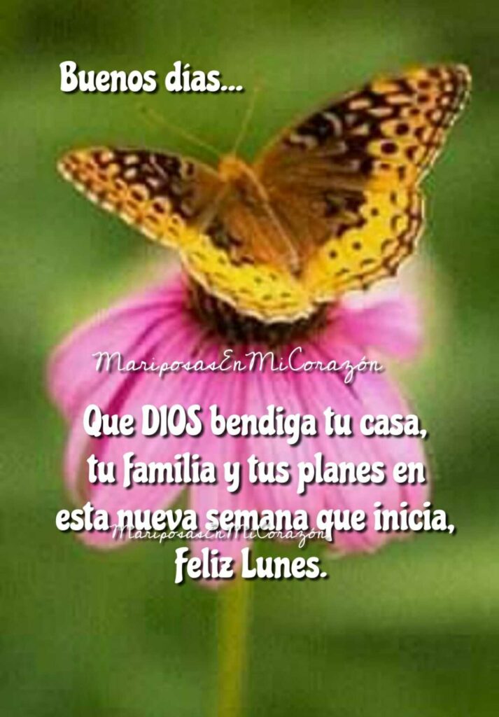 Buenos días... Que Dios bendiga tu casa, tu familia y tus planes en esta nueva semana que inicia. Feliz Lunes