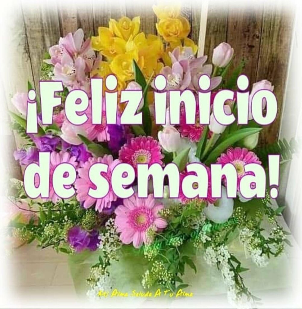 ¡Feliz inicio se semana!