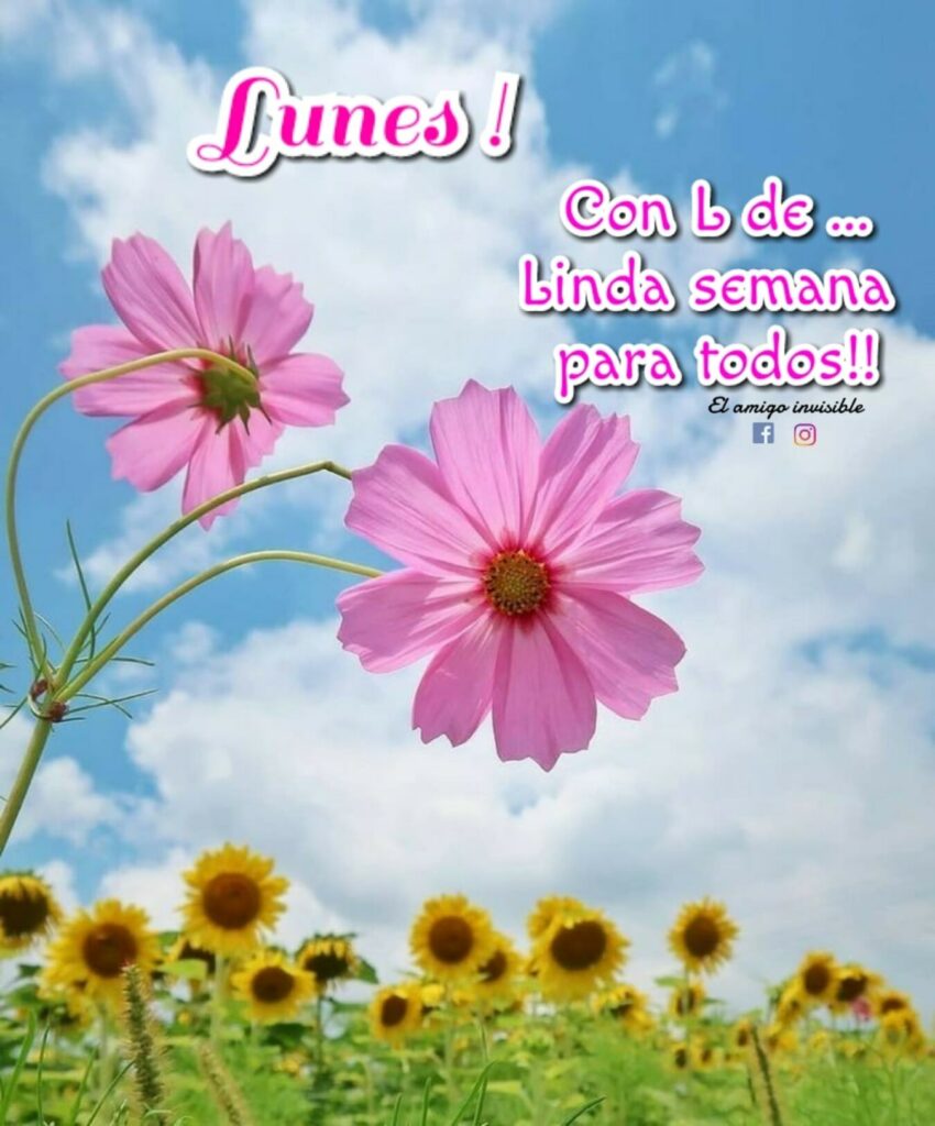 Lunes! Con L de... Linda semana para todos!!