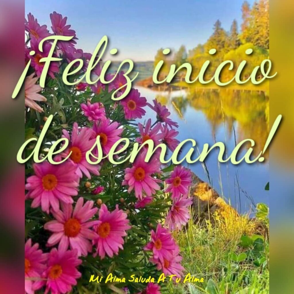 ¡Feliz inicio de semana!