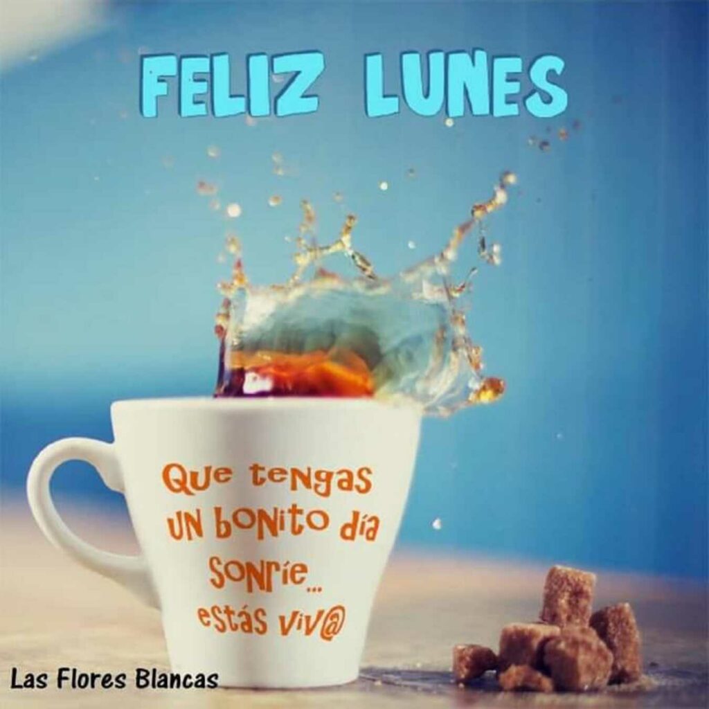 Feliz Lunes, que tengas un bonito día sonríe... estás viv@ (las flores blancas)