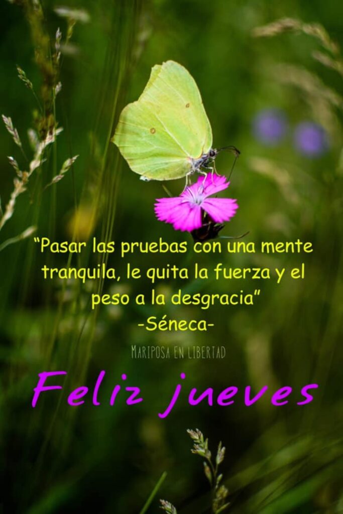 "Pasar las pruebas con una mente tranquila, le quita la fuerza y el peso a la desgracia." (Séneca) Feliz Jueves