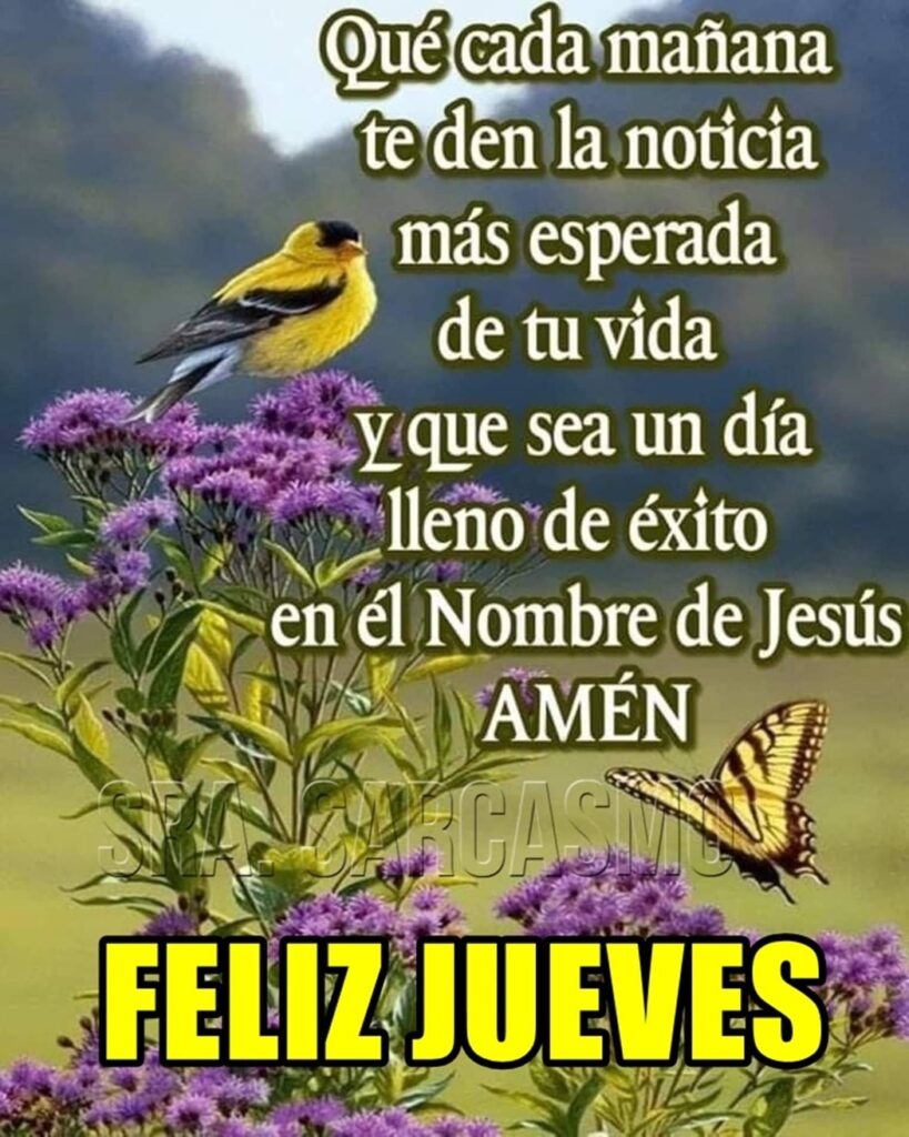 Qué cada mañana te den la noticia más esperada de tu vida y que sea un día lleno de éxito en el Nombre de Jesús. AMÉN. FELIZ JUEVES