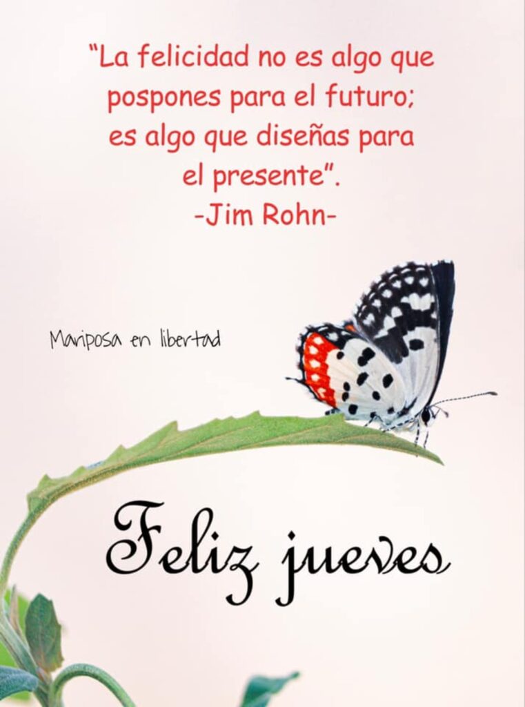 Feliz Jueves. "La felicidad no es algo que pospones para el furuto; es algo que deseñas para el presente." - Jim Rohn