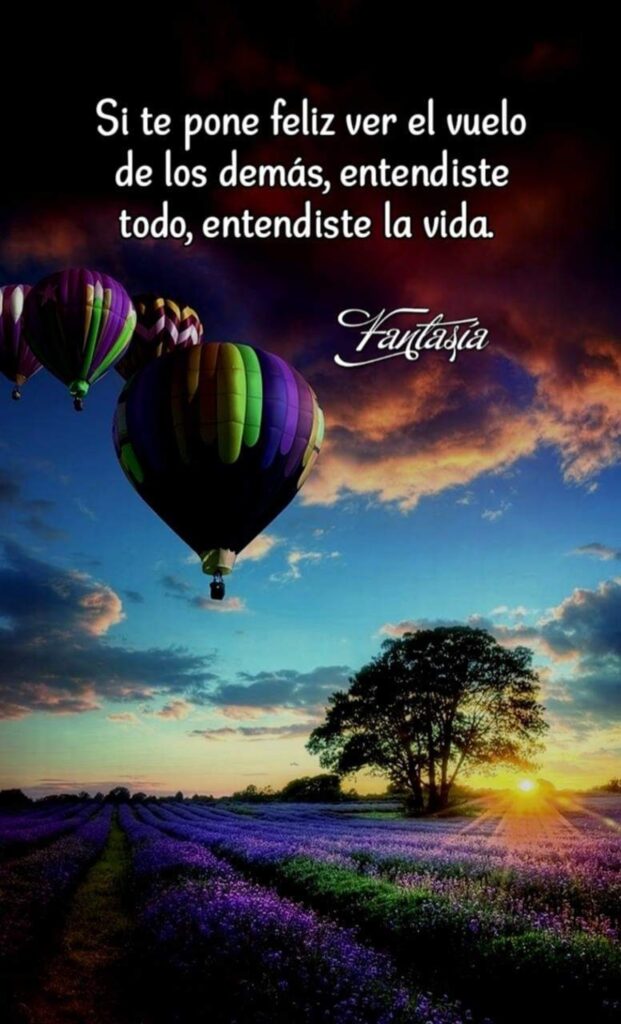 Si te pone feliz ver el vuelo de los demás, entendiste todo, entendiste la vida.