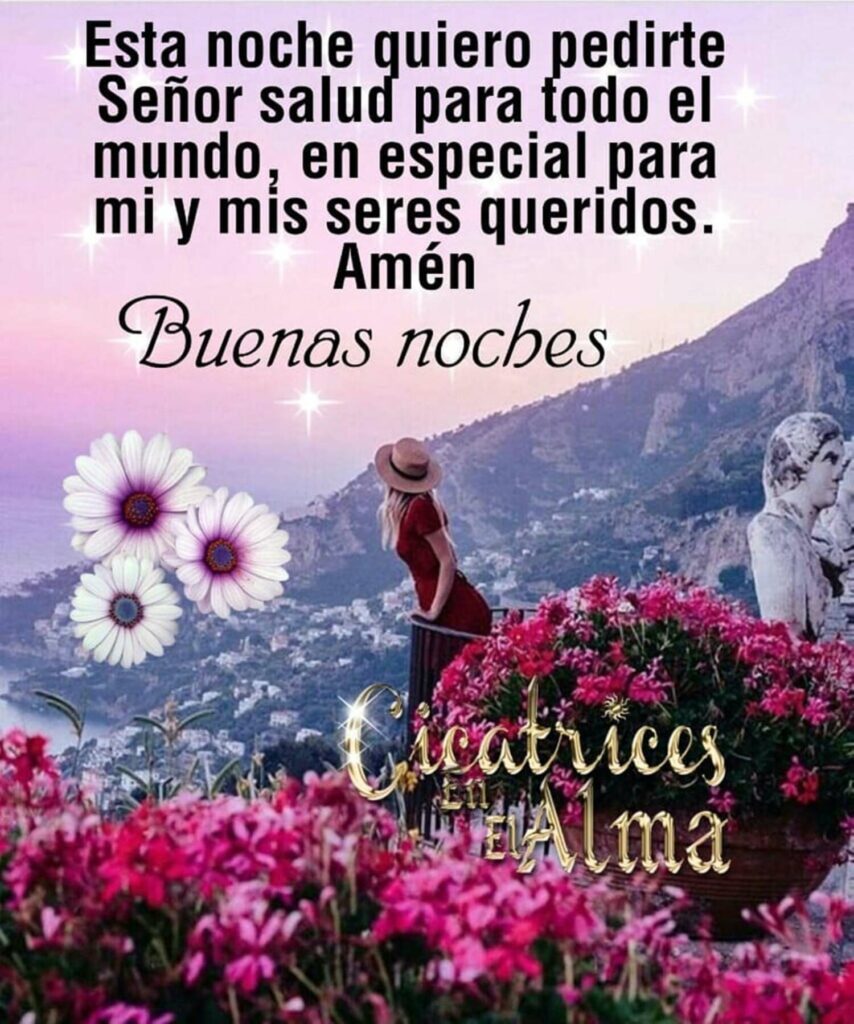 Esta noche quiero pedirte Señor salud para todo el mundo, en especial para mi y mis seres queridos. Amén. Buenas noches