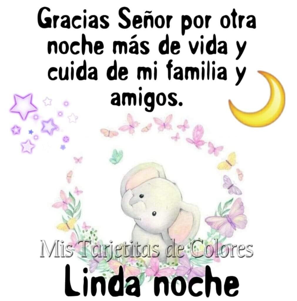 Gracias Señor por otra noche más de vida y cuida de mi familia y amigos. Linda Noche