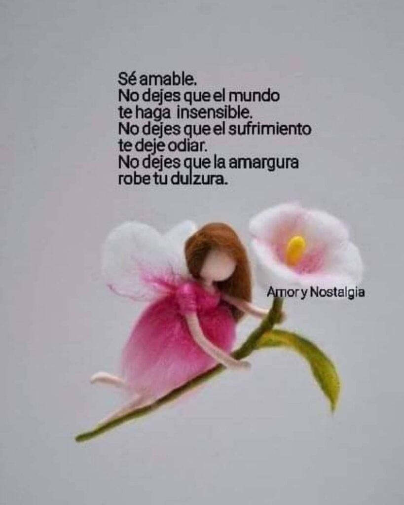 Sé amable. No dejas que el mundo te haga insensible. No dejes que el sufrimiento te daje odiar. No dejes que la amargura robe tu dulzura.