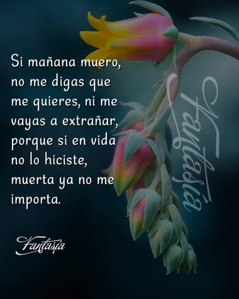 Si mañana muero, no me digas que me quieres, ni me vayas a extrañar, porque si en vida no lo hiciste, muerta ya no me importa.