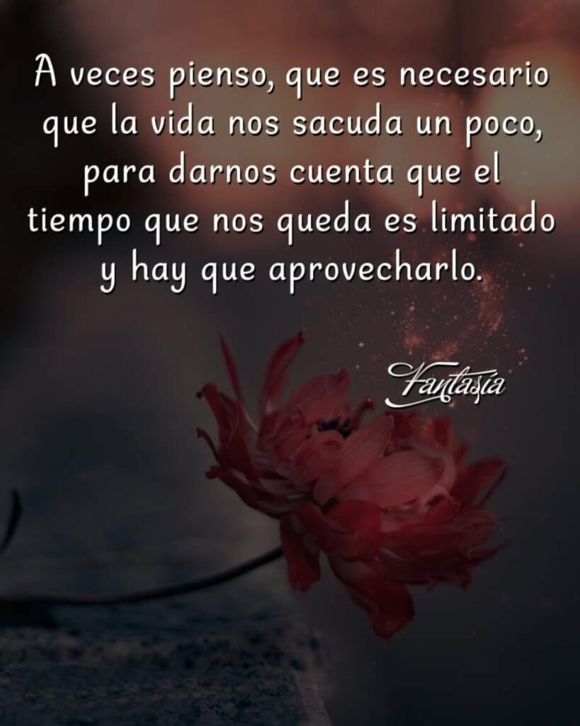 A veces pienso, que es necesario que la vida nos sacuda un poco, para darnos cuenta que el tiempo que nos queda es limitado y hay que aprovecharlo. (Fantasía)