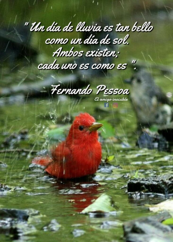 Un día de lluvia es tan bello como un día de sol. Ambos existen; cada uno es como es. (Fernando Pessoa)