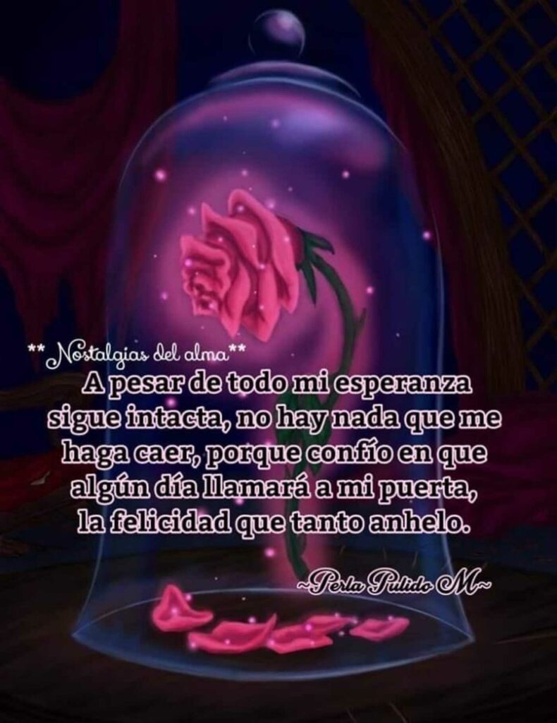 A pensar de todo mi esperanza sigue intacta, no hay nada que me haga caer, porque confío en que algún día llamará a mi puerta, la felicidad que tanto anhelo. (Nostalgia del alma)