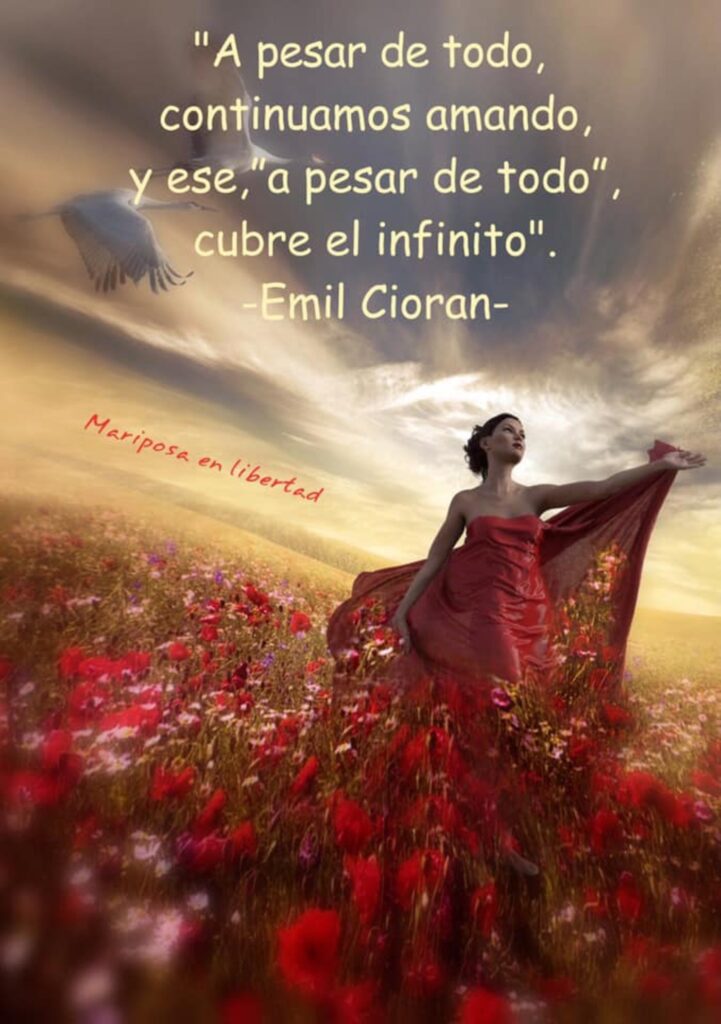 A pesar de todo, continuamos amando, y ese, "a pesar de todo", cubre el infinito. (Emil Cioran)