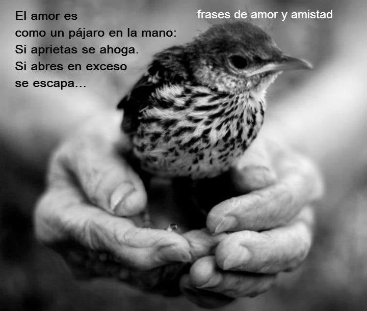 El amor es como un pájaro en la mano: si aprietas se ahoga. Si sabres en exceso se escapa...