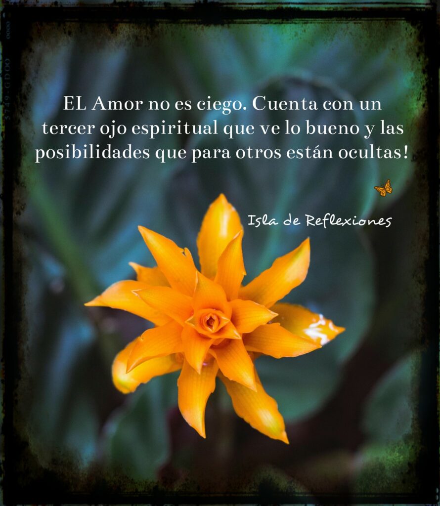 El amor no es ciego. Cuenta con un tercer ojo espiritual que ve lo bueno y las posibilidades que para otros están ocultas!