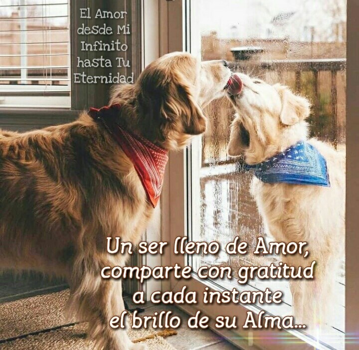 Un ser lleno de Amor comparte con gratitud a cada instante el brillo de su Alma...