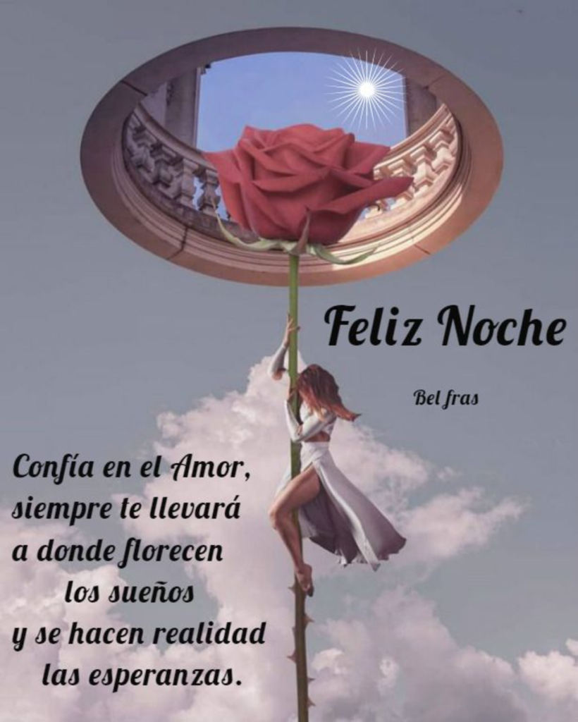 Feliz Noche. Confía en el Amor, siempre te llevará a donde florecen los sueños y se hacer realidad las esperanzas.