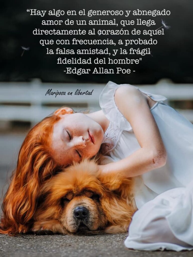 Hay algo el generoso y abnegado amor de un animal, que llega directamente al corazón de aquel que con frecuencian a probado la falsa amistad, y la frágil fidelidad del hombre. (Edgar Allan Poe)