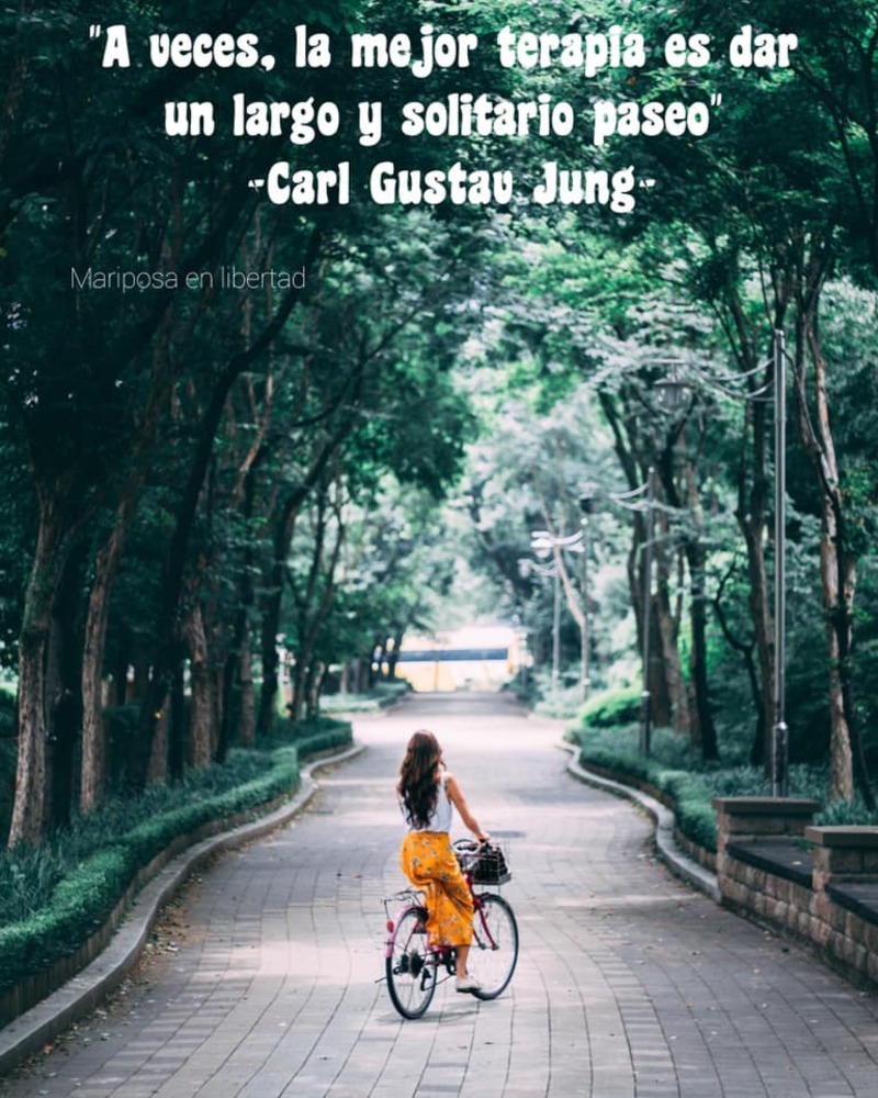 A veces, la mejor terapia es dar un largo y solitario paseo. (Carl Gustav Jung)