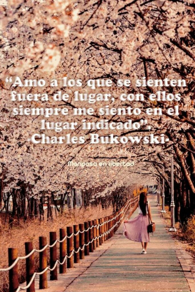 Amo a los que se sienten fuera de lugar, con ellos siempre me siento en el lugar indicando. (Charles Bukowski)