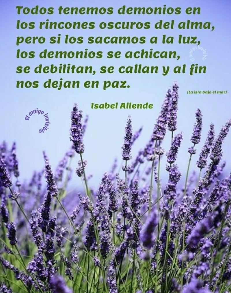 Todos tenemos demonios en los rincones oscuros del alma, pero si los sacamos a la luz, los demonios se achian, se debilitan, se callan y al fin nos dejan en paz. (Isabel Allende)