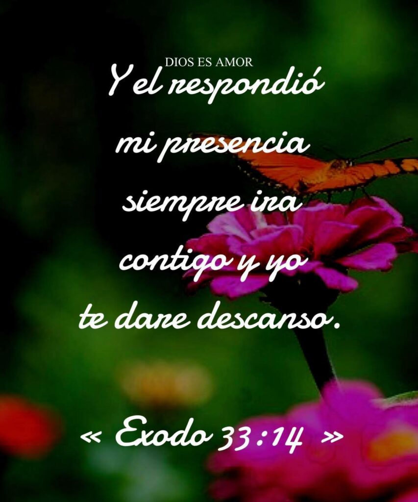 Y es nespondió mi presencia siempre ira contigo y yo te dare descanso. (Exodo 33:14)