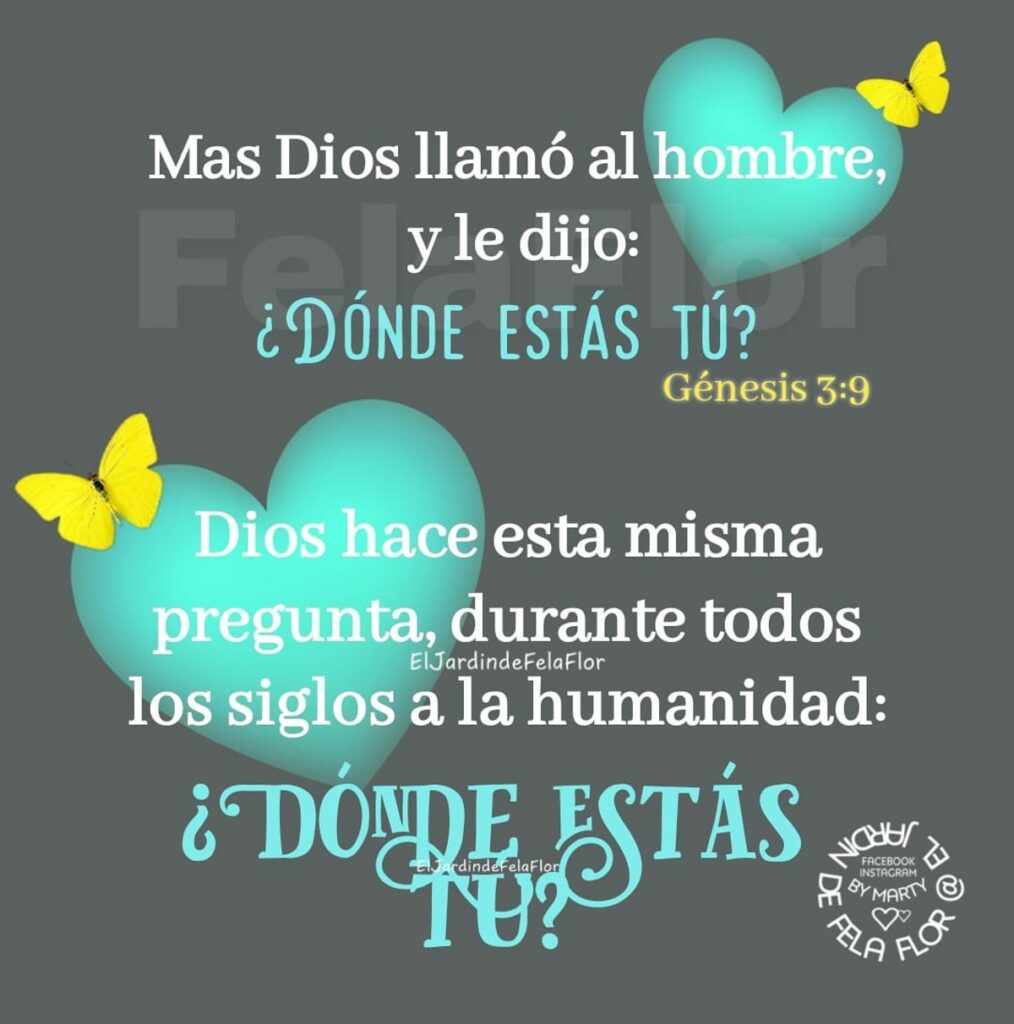 Mas Dios llamó al hombre, y le dijo: ¿Dónde estás tú? Dios hace esta misma pregunta, durante todos los siglos a la humanidad: ¿Dónde estás tú?