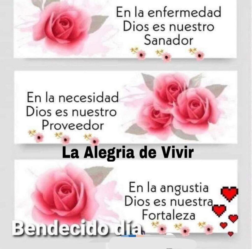 En la enfermedad Dios es nuestro Sanador. En la necesidad Dios es nuestro Proveedor. En la angustua Dios es nuestra fortaleza. Bendedico Día