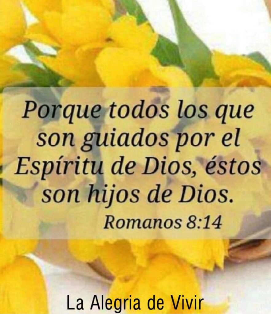 Porque todos los que son guiados por el Espíritu de Dios, éstos son hijos de Dios. (Romanos 8:14)