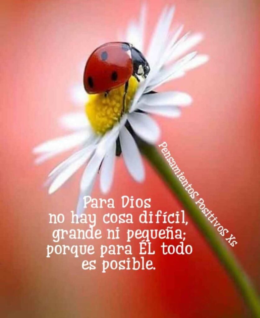 Para Dios no hay cosa difícil, grande ni pequeña; porque para Él todo es posible, (PensamientoS PositivoS Xs)