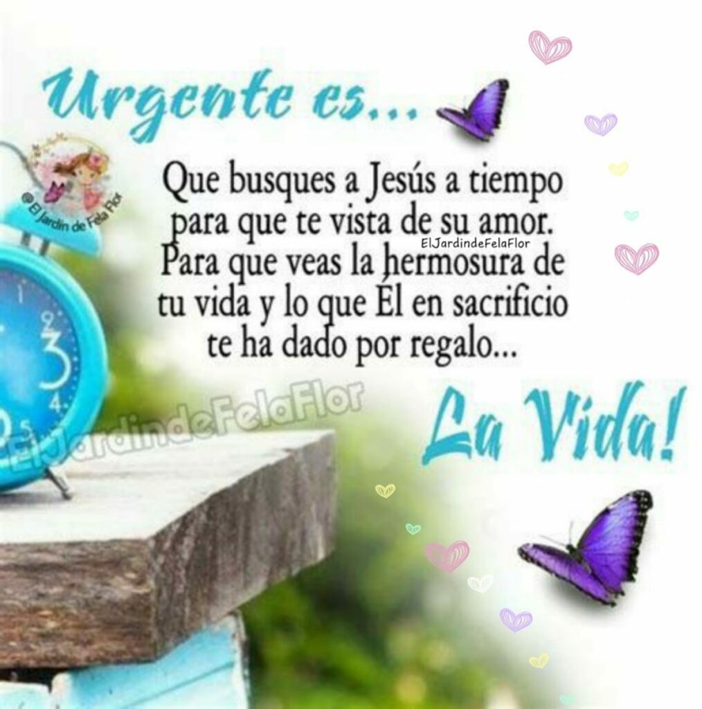 Urgente es... Que busques a Jesús a tiempo para que te vista de su amor. Para que veas la hermosura de tu vida y lo que Él en sacrigicio te ha dado por regalo... La Vida