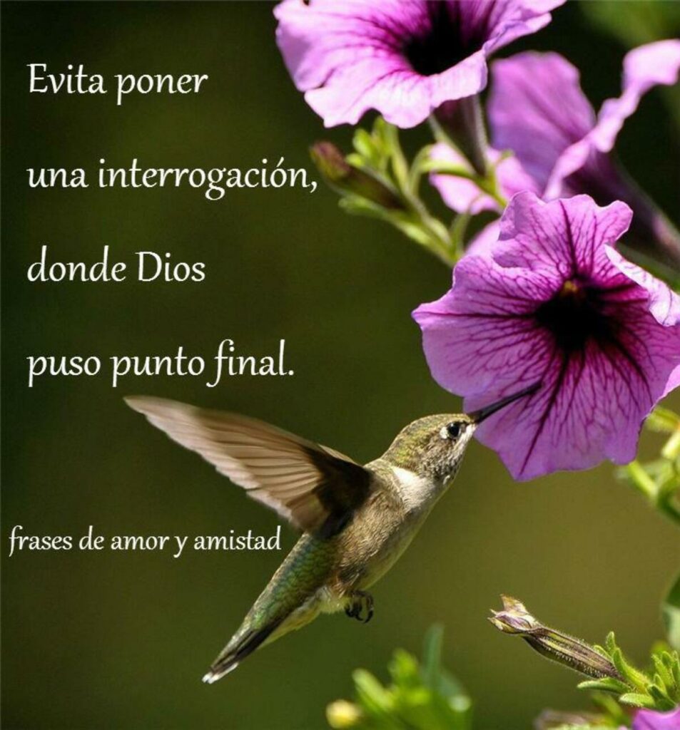 Evita poner una interrogación, donde Dios puso punto final. (frases de amor y amistad)