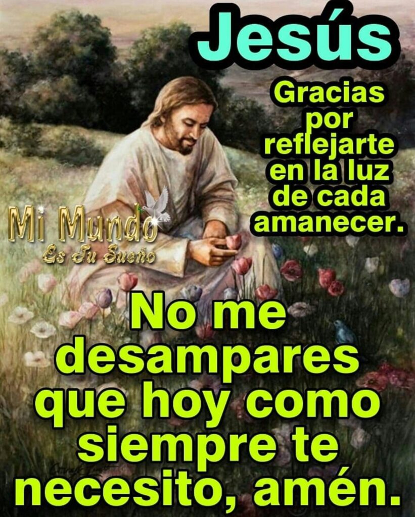 Jesús, gracias por reflejarte en la luz de cada amanecer. No me desampares que hoy como siempre te necesito. Amén