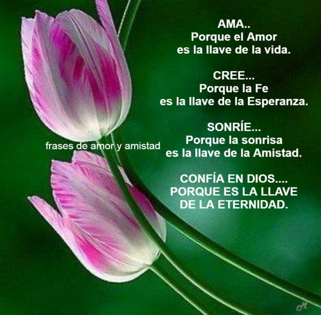 AMA... Porque el amor es la llave de la vida. CREE... Porque la Fe es la llave de la esperanza. SONRÍE... Porque la sonrisa es la llave de la amistad. CONFIA EN DIOS... PORQUE ES LA LLAVE DE LA ETERNIDAD.