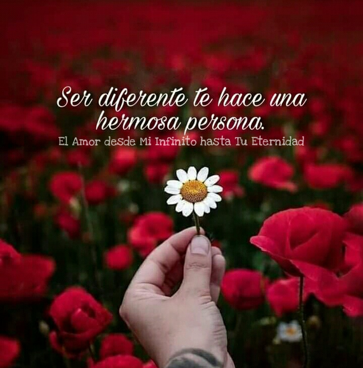 Ser diferente te hace una hermosa persona.