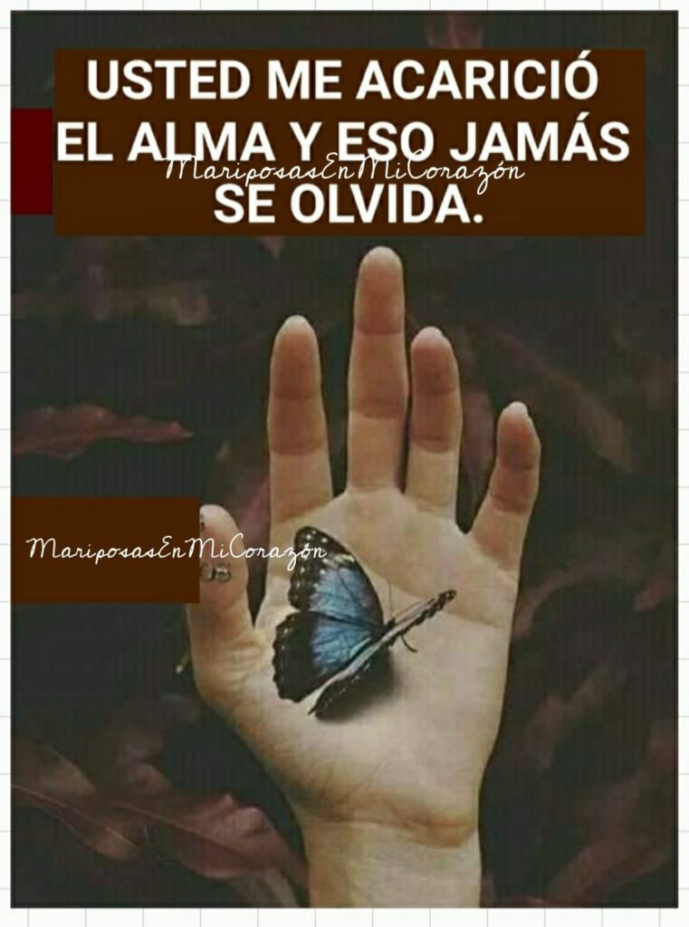 Usted me acarició el alma y eso jamás se olvida. (Mariposas en mi corazón)