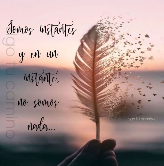 Somos instantes y en un instante no somos nada...