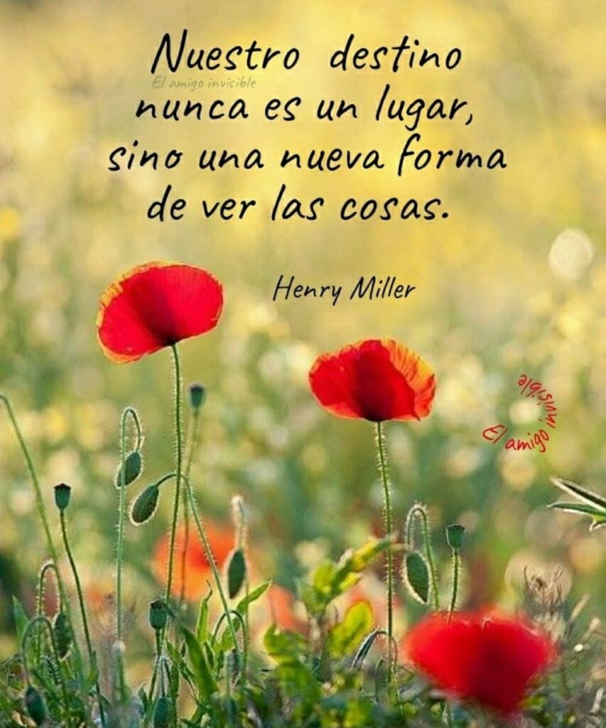 Nuestro destino nunca es un lugar, sino una nueva forma de ver las cosas. (Henry Miller)