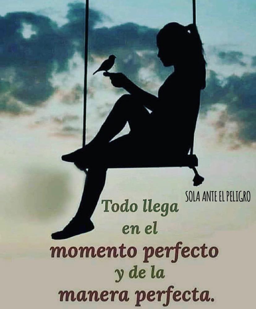 Todo llega en el momento perfecto y de la manera perfecta.