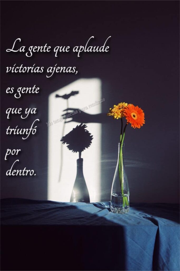 Frases cortas