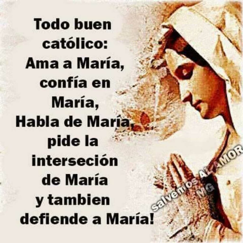 Todo buen católico: Ama a María, confía en María, Habla de María, pide la interseción de Maria y tambien defiende a María!